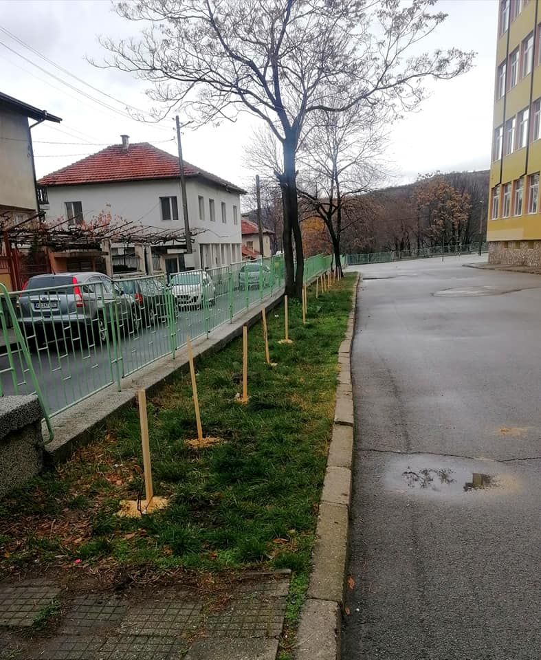ОУ "Св Климент Охридски" засади 43 дръвчета и 43 рози 5