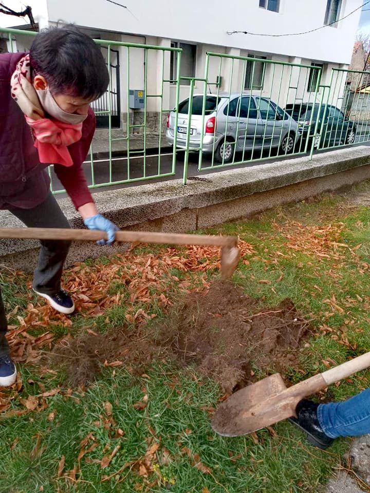 ОУ "Св Климент Охридски" засади 43 дръвчета и 43 рози 8